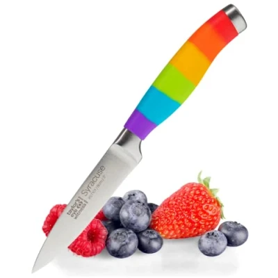 Image of Taylor&#039;s Eye Witness Rainbow 9.5cm Paring Knife