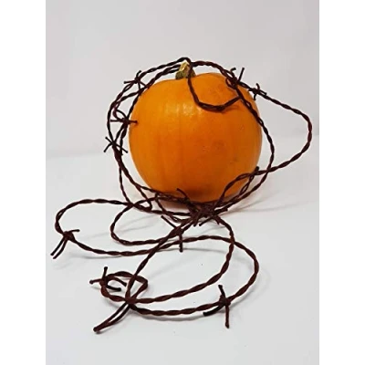 Image of GARLAND BARBED WIRE RUSTY 3.7M
