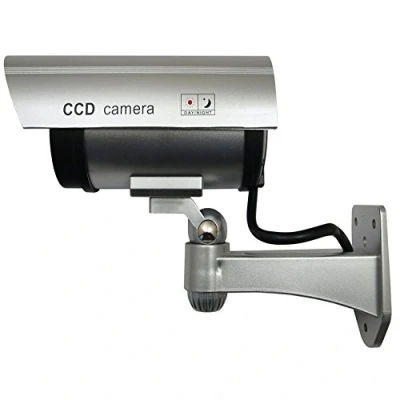 Image of IR1100 Outdoor Brown Security Camera CCTV Dummy with Flashing LED Screws