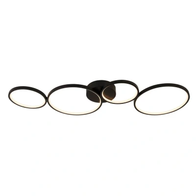 Image of 4 Light Led Ring Flush Light, Matt Black