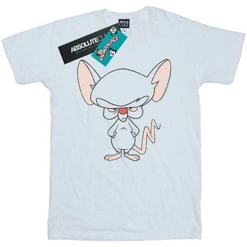 Image of Absolute Cult Animaniacs Women&#039;s The Brain Classic Pose Boyfriend Fit T Shirt White Large