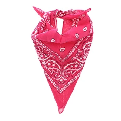 Image of Zac&#039;s Alter Ego Retro Vintage Style Cowboy Paisley Bandana/Neckerchief/Durag