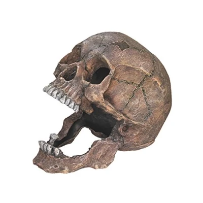 Image of Nobby Skull Aquarium Ornaments, 13.5 x 20 16.5 cm