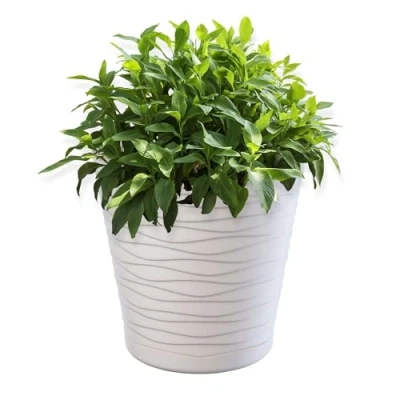 Image of KADAX Plastic Flowerpot, Indoor Plant Pot with Saucer, Lightweight Flower in Several Colours and Sizes, Unique Planter for Houseplants (19 cm, Cream)