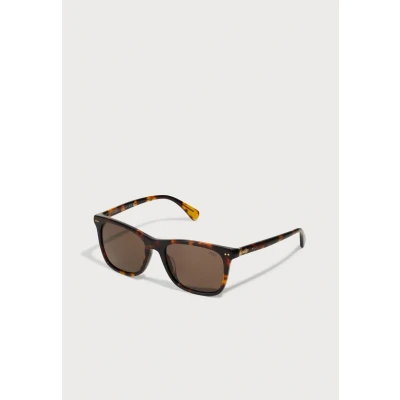 Image of Polo Ralph Lauren Unisex Sunglasses, Size: 55, Shiny brown tortoise