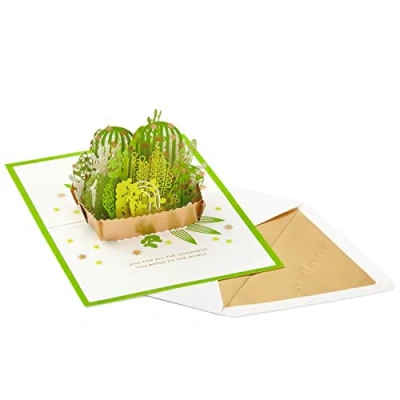 Image of Hallmark Signature Paper Wonder Pop Up Friendship, Thank You, or Birthday Card Succulents