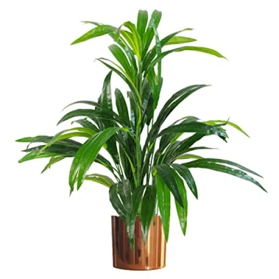 Image of Leaf Design UK Realistic Artificial Foliage Plant with Pot, Bamboo Copper Planter, 65cm