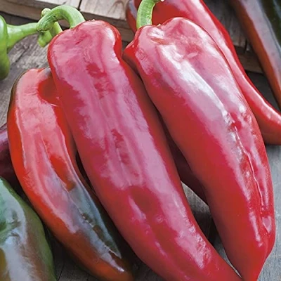 Image of Mr Fothergills Vegetable RHS Pepper (Sweet) Corno Di Toro Rosso 50 Seeds