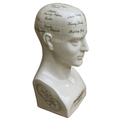 Image of TANGDIAABBCC Honbeanify Large Distressed Glazed Ceramic Phrenology Head