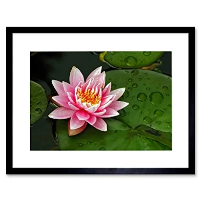 Image of Wee Blue Coo Lotus Flower Lily Pad Pink Art Framed Wall Print
