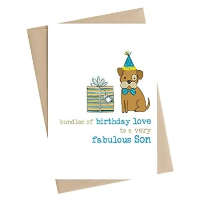 Image of Fabulous Son Birthday Greeting Card by Dandelion Stationery Cards WW719