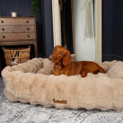 Image of Scruffs Luxury Alpine Box Bed For Dogs (XL)