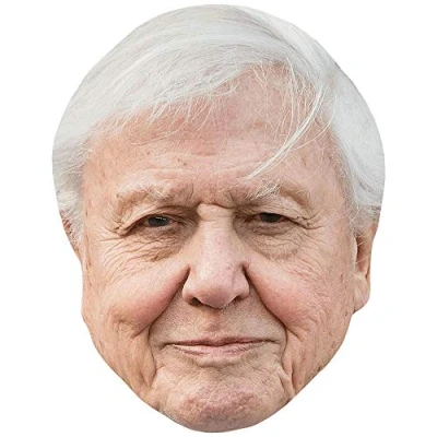 Image of David Attenborough (Smile) Celebrity Mask, Flat Card Face, Fancy Dress Mask