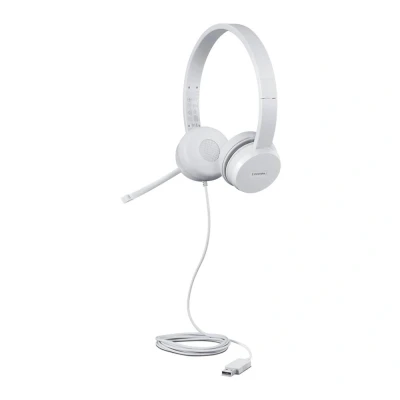 Image of LENOVO LNV 110 H EADSET, Silver/Grey