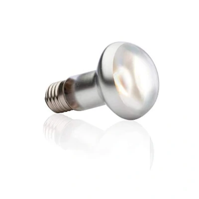 Image of Exo Terra Intense Basking Spot Lamp, 50 W