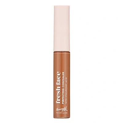 Image of Fresh Face Perfecting Concealer infused with Hyaluronic Acid, Shade 13