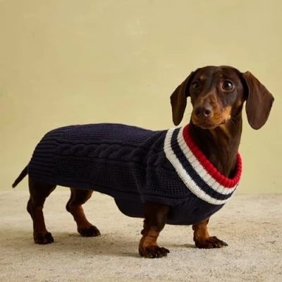 Image of Rosewood Joules Dawson Navy Knit Jumper for Dogs, Small, Washable, Warm and Comfy Winter Sweater Small Dogs