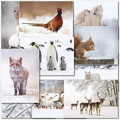 Image of doodlecards Pack of 10 Mixed Wildlife Box Premium Christmas Cards. Printed in UK, Quality &amp; 100% Recyclable.