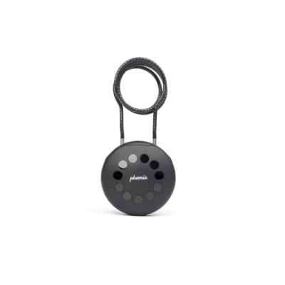 Image of Phoenix Safe Company Palm Key Smart Box App Control One Time Passcode Combination Lock Wall Mounted KS0211E