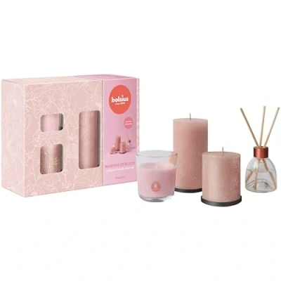 Image of Bolsius Rustic Pillar Candles with Reed Diffuser and Scented Candle Gift Set of 4 Whispers Bloom Magnolia Decorative Household Long Burning Time Includes Natural Vegan Wax
