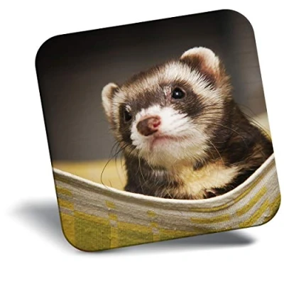 Image of Destination Vinyl ltd Fridge Magnet Ferret Hammock Pet Rodent Animal 16329