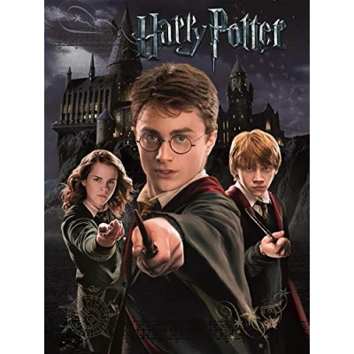 Image of Harry Potter (Harry Ron Hermione) 30X40