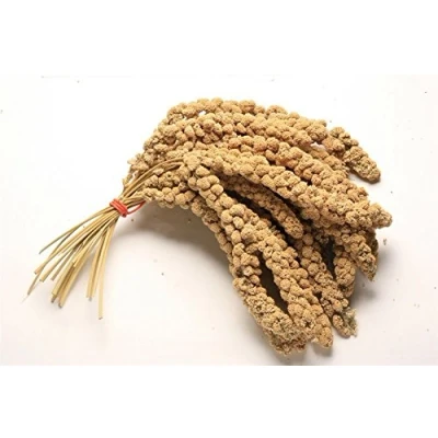 Image of 1KG PREMIUM MILLET SPRAY HANGING CAGE BIRD TREAT BUDGIE CANARIES COCKATIELS WEIGH OUT BAG