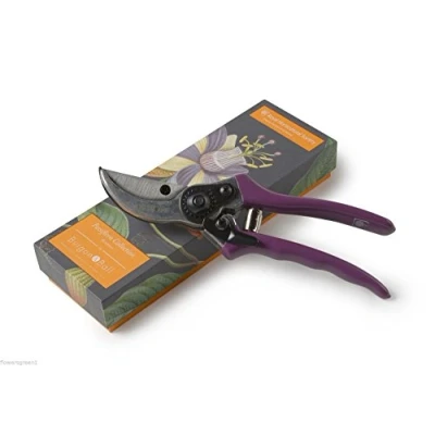 Image of RHS Passiflora Secateurs
