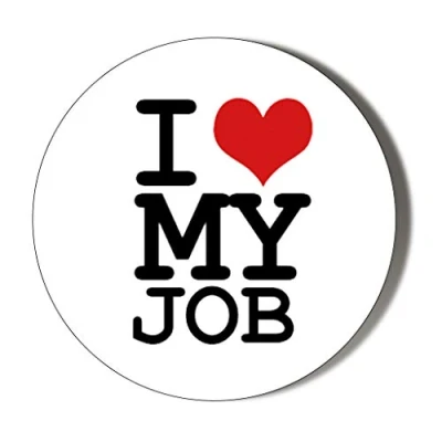 Image of Gift Insanity I LOVE MY JOB 45mm Novelty Badge