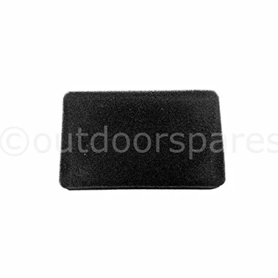 Image of Genuine Cobra DG350 Lawnmower Air Filter CO25100137001 M40C RM40C AIRMOW51