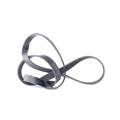 Image of 7700271648 V ribbed belt FEBI BILSTEIN 28952 1555mm 6 EPDM (ethylene propylene diene Monomer (M class) rubber) FORD: FIESTA 6, FOCUS 3, S Max Mk1