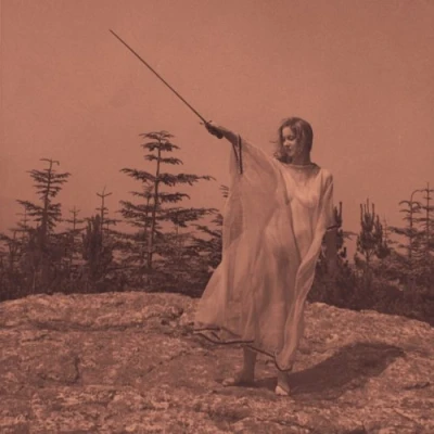 Image of Unknown Mortal Orchestra II + Shrink 2013 USA vinyl LP JAG232