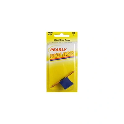 Image of Pearl PWN664 Slow Blow Fuse Screw Fit 100 A