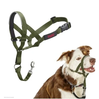 Image of HALTI Headcollar To Stop Your Dog Pulling on the Lead. Adjustable, Reflective and Lightweight, with Padded Nose Band. Training Anti Pull Collar for Medium Dogs (Size 2, Forest Green)
