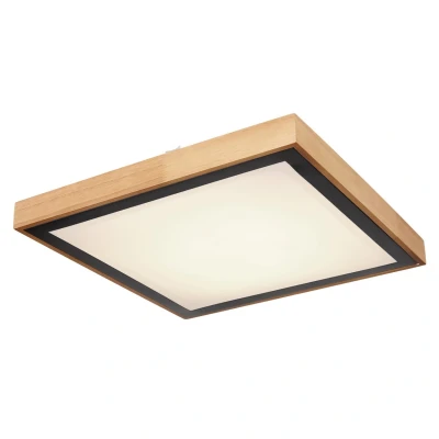 Image of Bruno 39cm Integrated LED Semi Flush Ceiling Light Matt Black 3000 6000K
