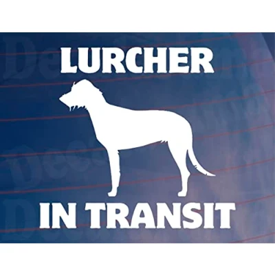 Image of Car Sticker Lurcher In Transit Nice Fun Cute Novelty Warning Van Window Bumper Boot Door Decal