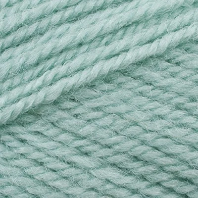 Image of Stylecraft Life DK Yarn, 100g Mint, 2342