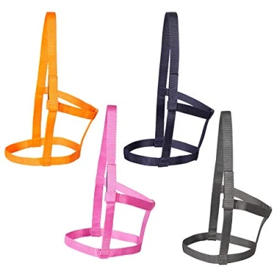 Image of PFIFF 102920 Joky Willow Paddock Headcollar Without Fittings Nylon Orange Shetty