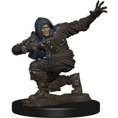 Image of Pathfinder Battles Male Human Rogue Pre painted Figure
