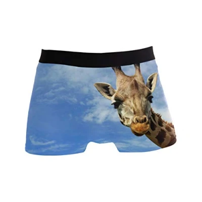 Image of ZZKKO Giraffe Blue Sky Mens Boxer Briefs Underwear Breathable Stretch Trunk with Pouch L