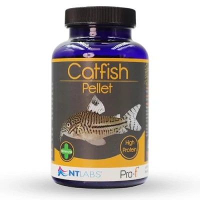 Image of NT Labs Pro f Catfish Pellet, Freshwater Food, Aquarium Fish Feed, Quick Sinking Nutritious SIZE (150 gm)