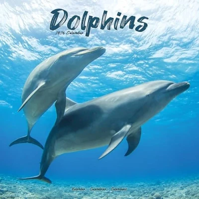 Image of Dolphins Calendar 2026