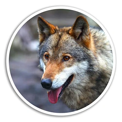 Image of 2 x 10cm Wild Wolf Vinyl Stickers Wolves Spirit Sticker Laptop Luggage #8235 (10cm Wide)