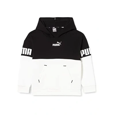 Image of Puma Power Colorblock Hoodie FL G