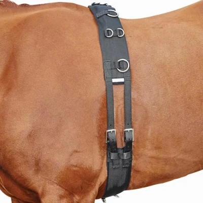 Image of Kincade Lunge Roller with Fleece Padding, Black, Cob