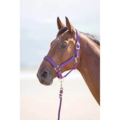 Image of Shires Topaz Nylon Pony/Horse Headcollar Purple Pony
