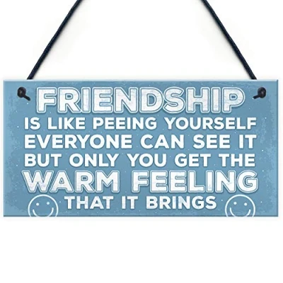 Image of RED OCEAN Novelty Best Friend Sign Friendship Funny Rude Gift Birthday Plaque Thank You