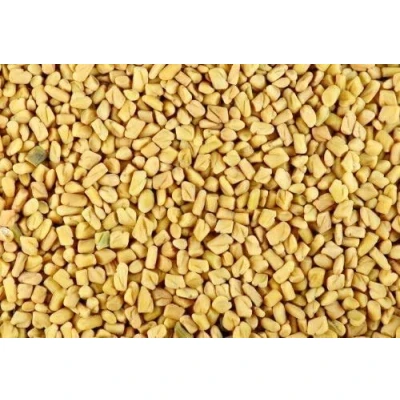 Image of Sale Price 1Kg Whole Methi Fenugreek Seeds PremiumQualityHerbsnSpiceit