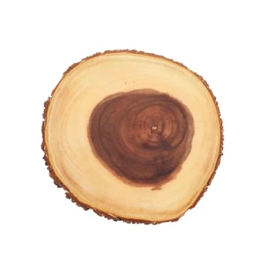 Image of Artesa Natural Wooden Tree Trunk Cheese Board / Serving Platter with Bark Edge Round, Brown, 21 cm (8&quot;)