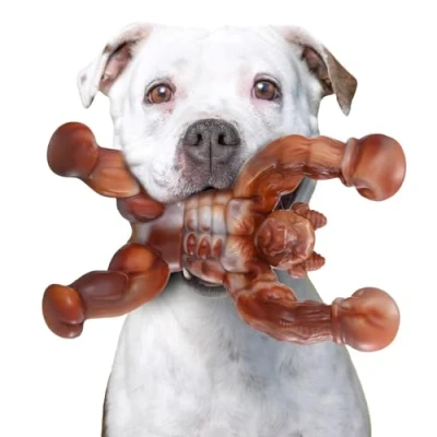 Image of Zinbo Dog Toys for Aggressive Chewers, Indestructible Toys, Toughest Nylon Chew Toy with Real Bacon Flavor, Fun to Chew, Bone Medium/Large Breed Dogs